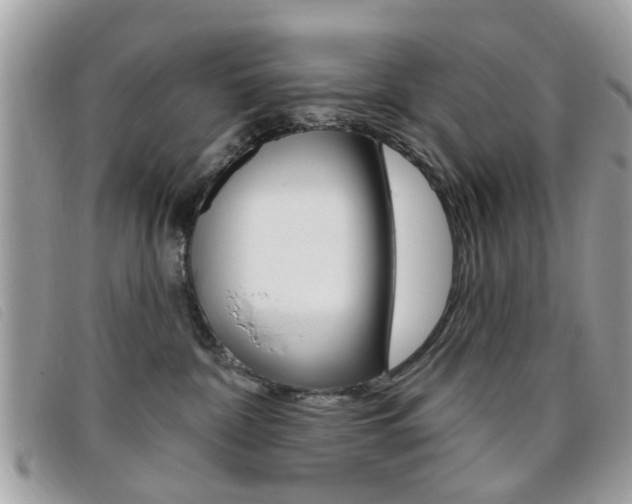 X0000095900332200801110810