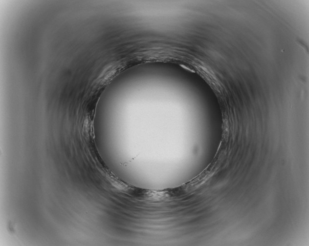 X0000095900333200801110810