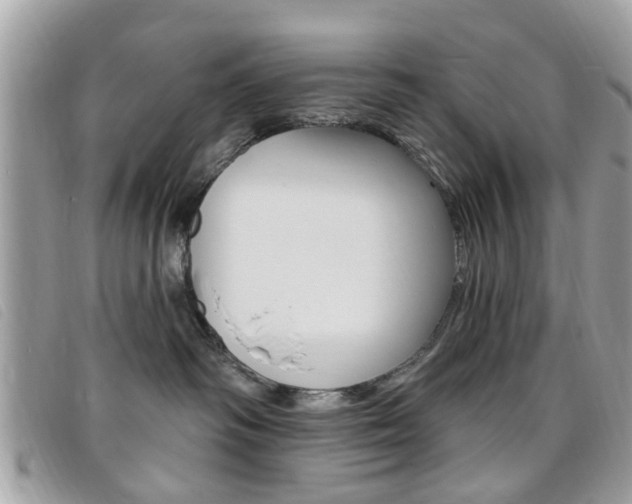 X0000095900334200801110810