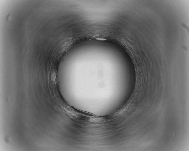 X0000095900336200801110810