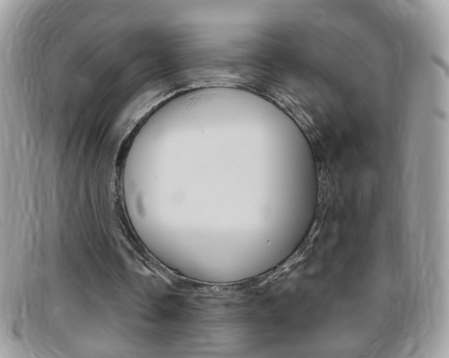 X0000095900338200801110809
