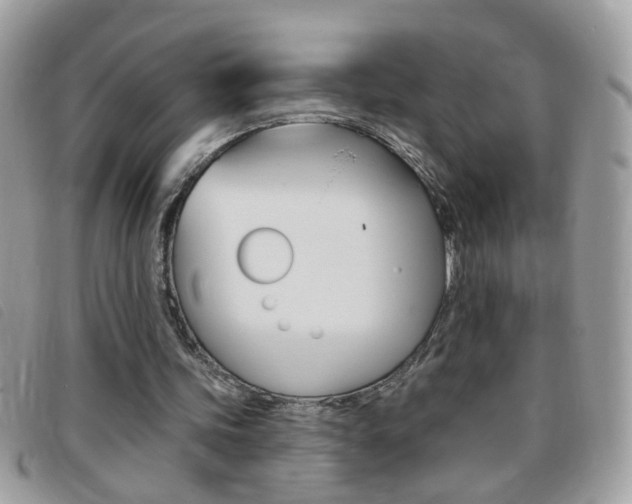 X0000095900339200801110810
