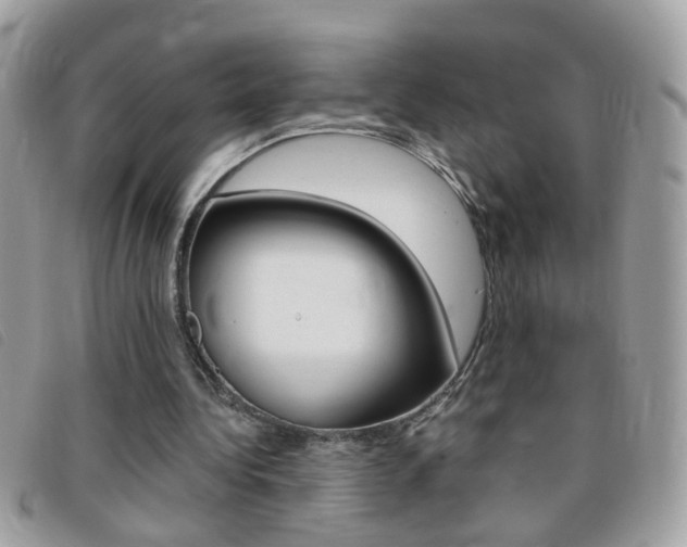 X0000095900340200801110810