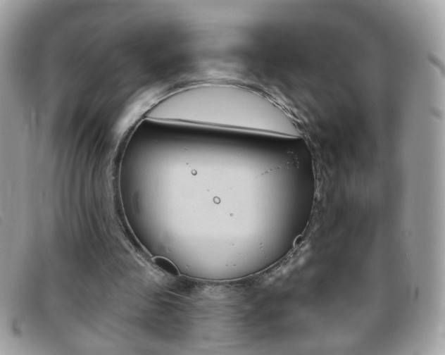 X0000095900341200801110810