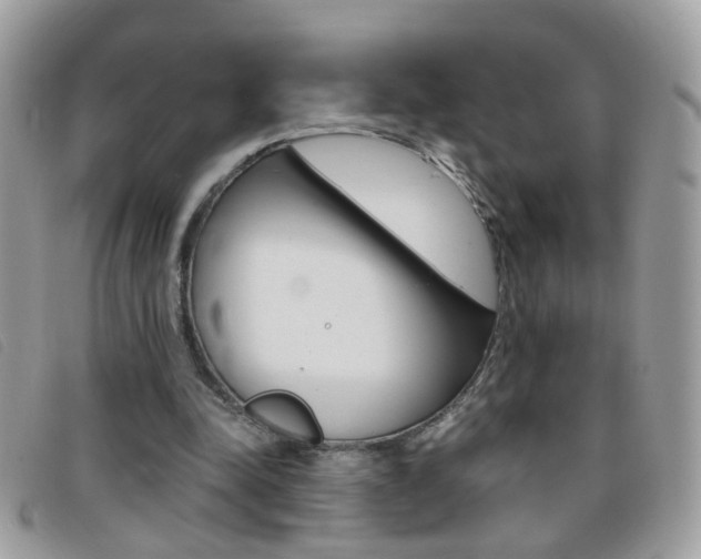 X0000095900342200801110810