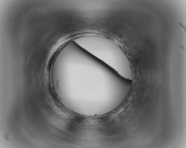 X0000095900343200801110810