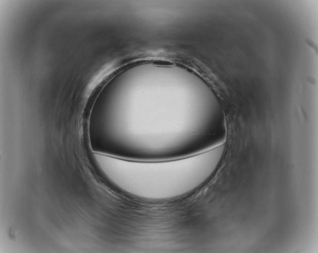 X0000095900344200801110810