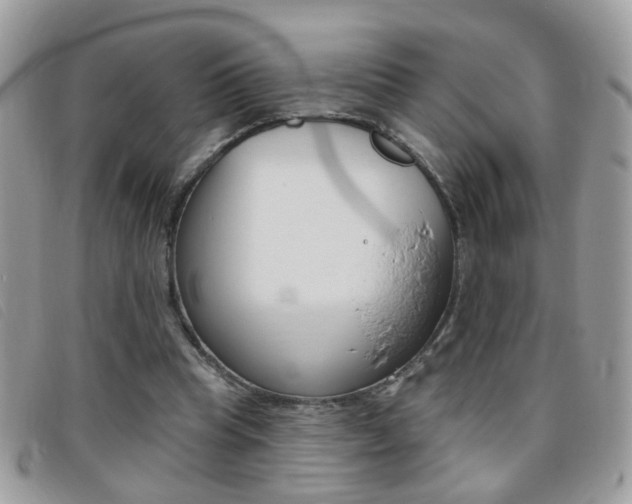 X0000095900345200801110810