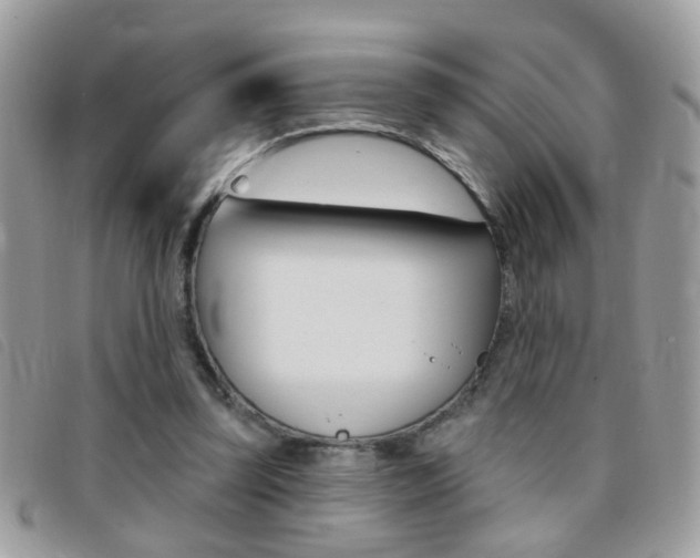 X0000095900347200801110810