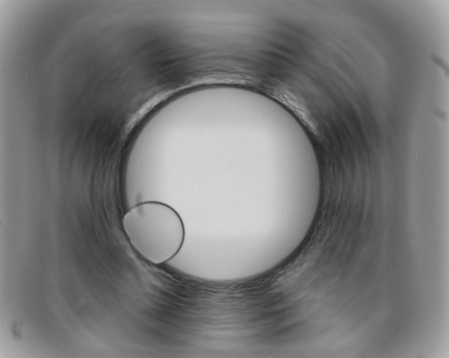 X0000095900348200801110810