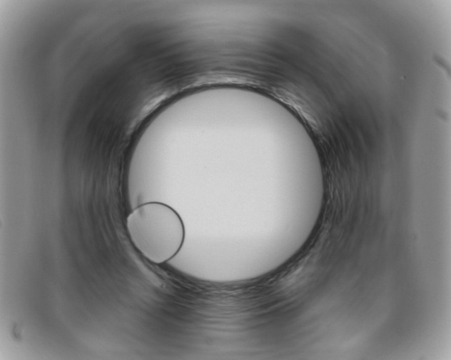 X0000095900352200801110810