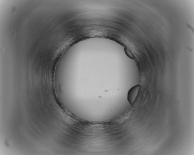 X0000095900353200801110810
