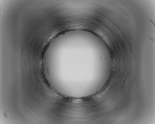 X0000095900355200801110810