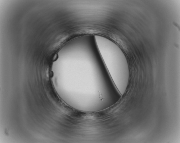 X0000095900358200801110810