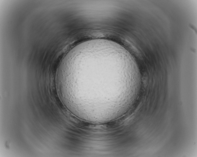 X0000095900359200801110810