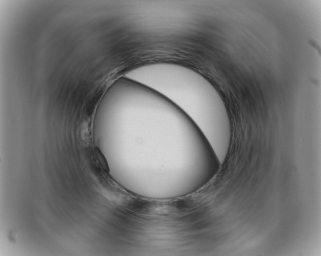 X0000095900360200801110810