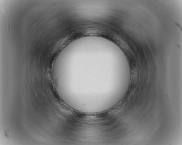 X0000095900361200801110810