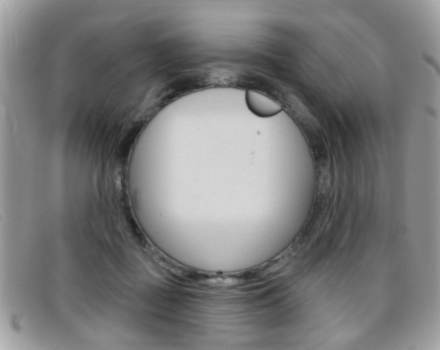 X0000095900363200801110810