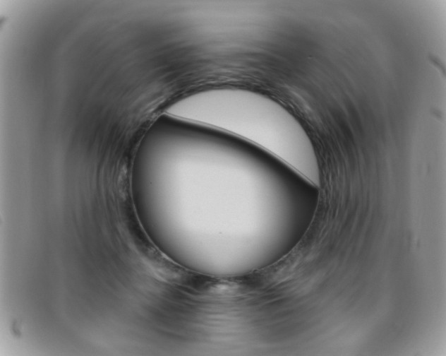 X0000095900364200801110810