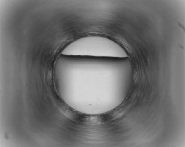 X0000095900365200801110810
