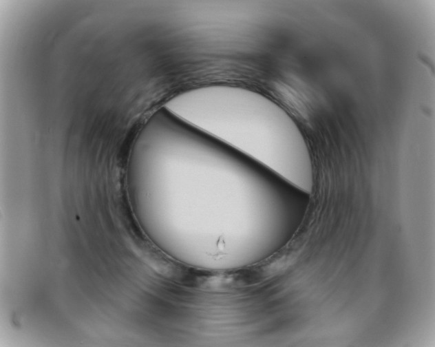 X0000095900366200801110810