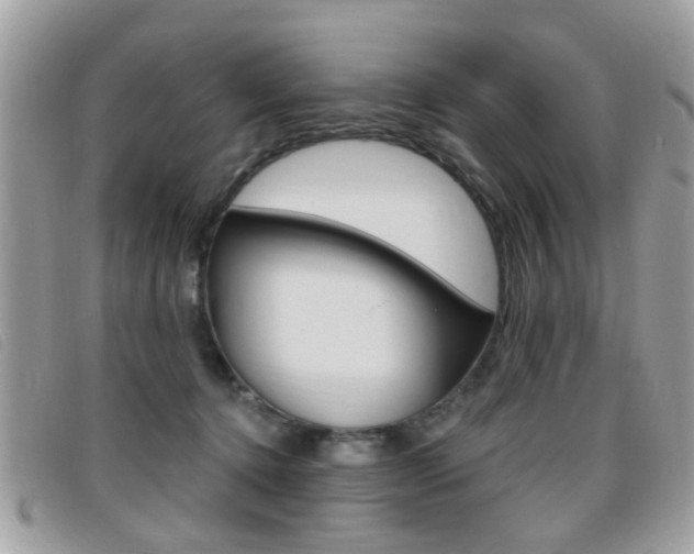 X0000095900368200801110810