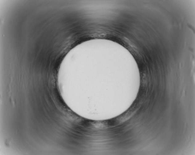 X0000095900370200801110810