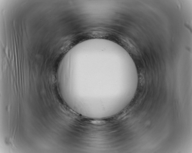 X0000095900371200801110810