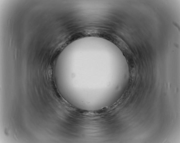 X0000095900372200801110810
