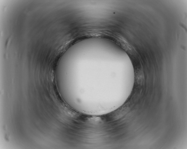 X0000095900374200801110810