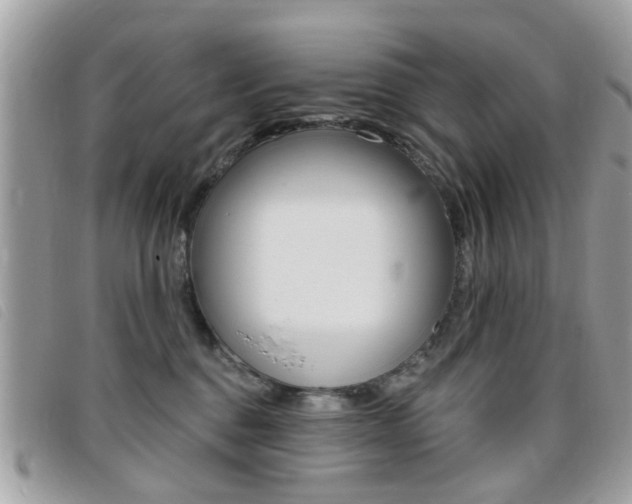 X0000095900376200801110810