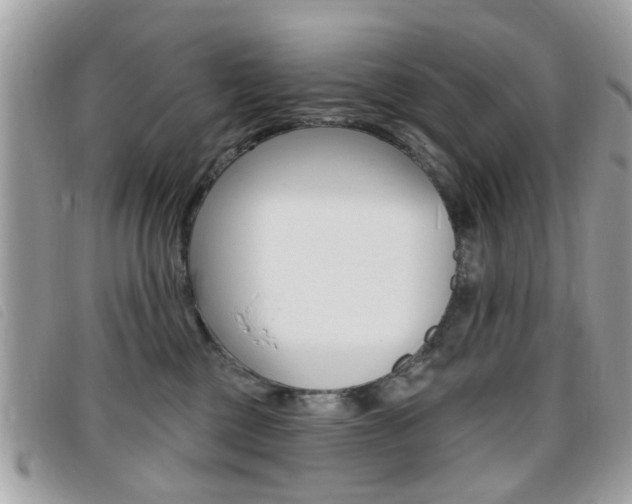 X0000095900377200801110810
