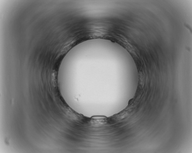 X0000095900378200801110810