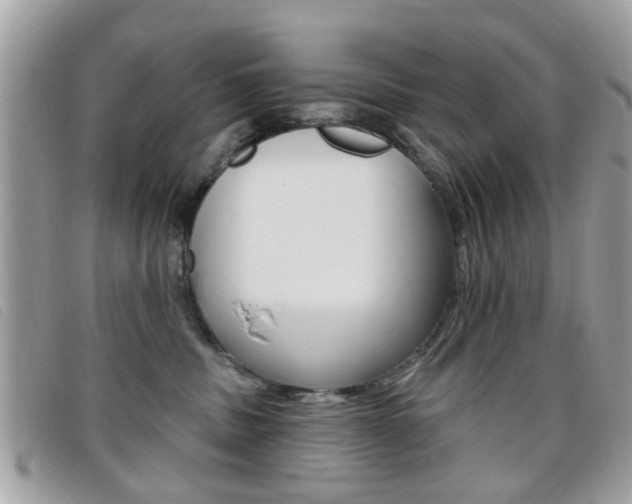 X0000095900379200801110810