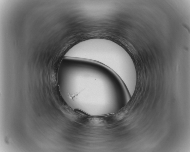 X0000095900380200801110810