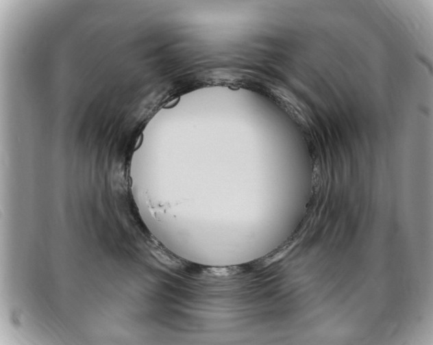 X0000095900381200801110810