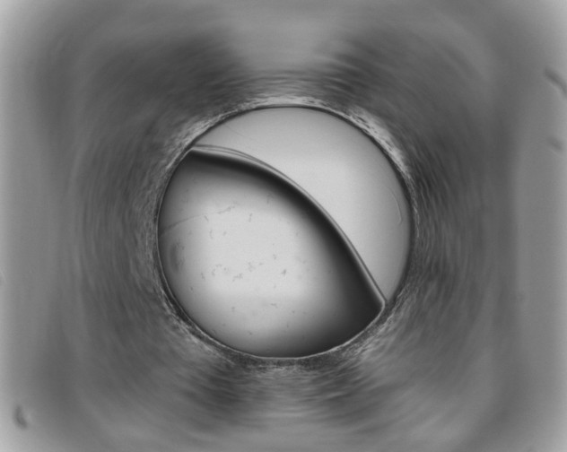 X0000095900385200801110809