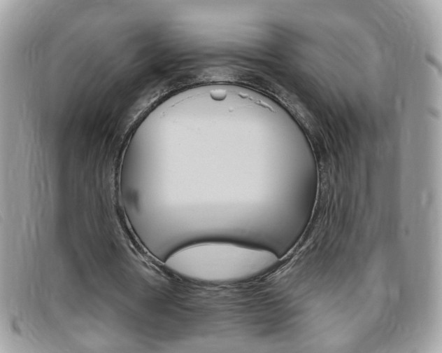 X0000095900386200801110809