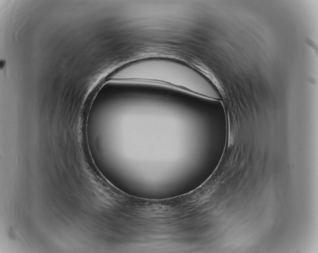 X0000095900387200801110809