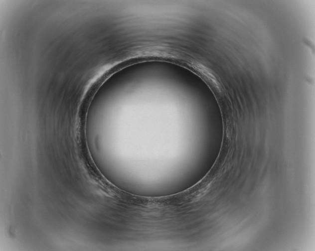 X0000095900388200801110809