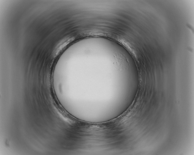 X0000095900390200801110809