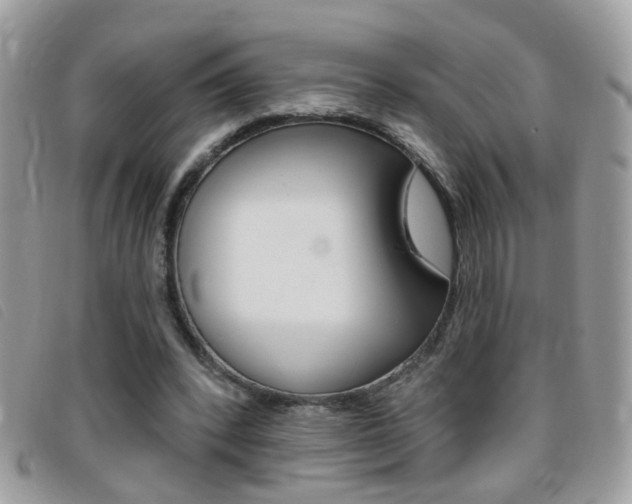 X0000095900392200801110809