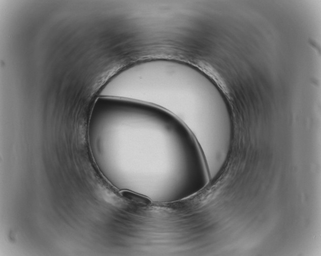 X0000095900393200801110809