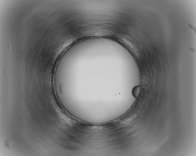 X0000095900394200801110809