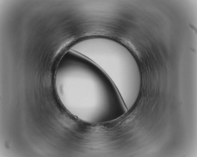 X0000095900396200801110809