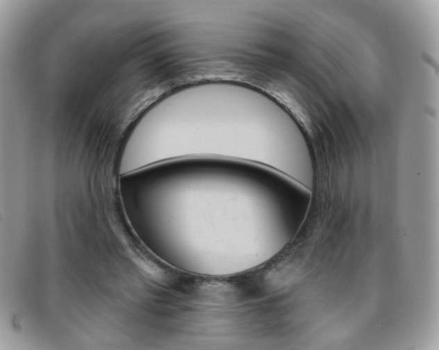 X0000095900397200801110809