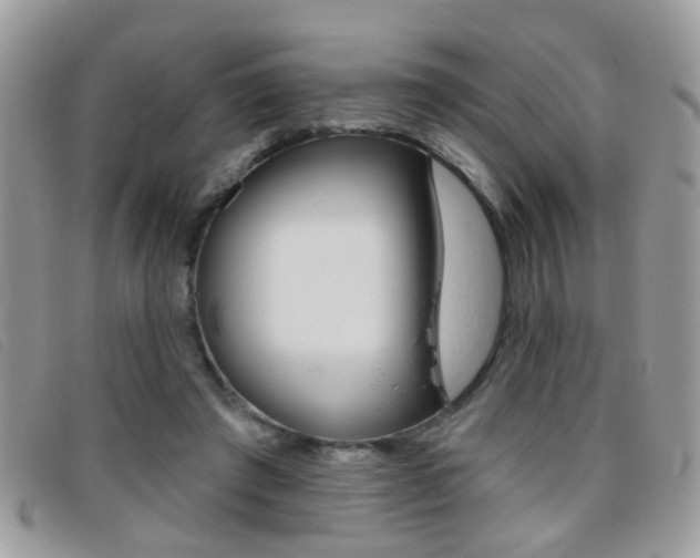 X0000095900401200801110809