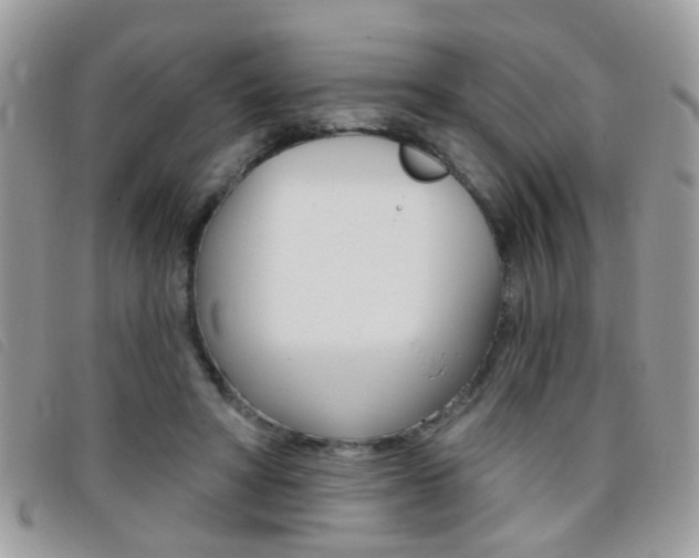 X0000095900402200801110809