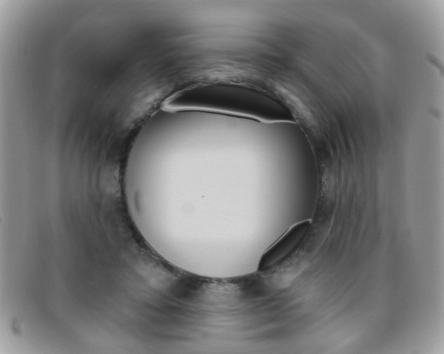X0000095900403200801110809