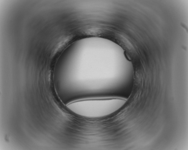 X0000095900404200801110809